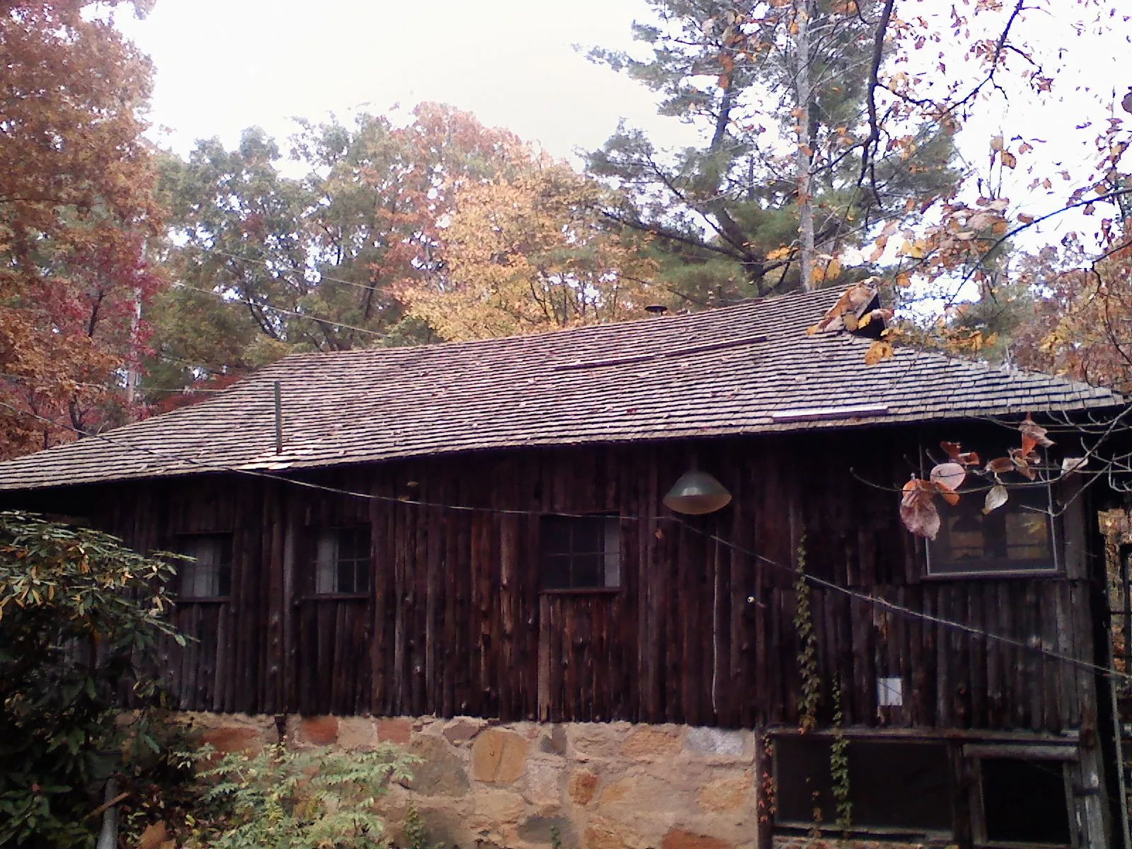 Weathered wood shake roof on a rustic board sided cabin in Drake